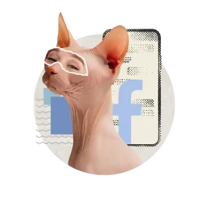 Montage d'un chat avec des yeux d'une femme, et en arrière-plan un cellulaire qui affiche le logo Facebook