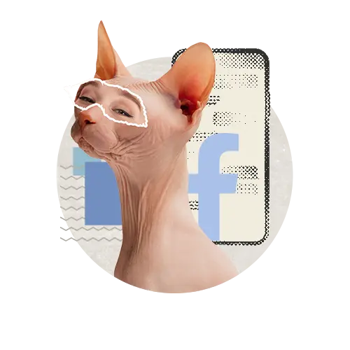 Montage d'un chat avec des yeux d'une femme, et en arrière-plan un cellulaire qui affiche le logo Facebook